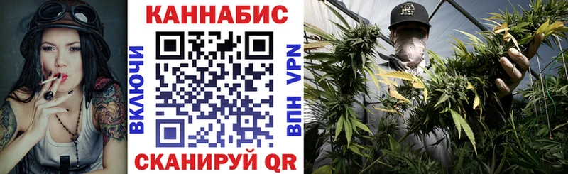Бошки Шишки планчик Кинель